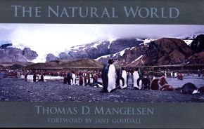 Mangelsen, The Natural World. (Umschlag)