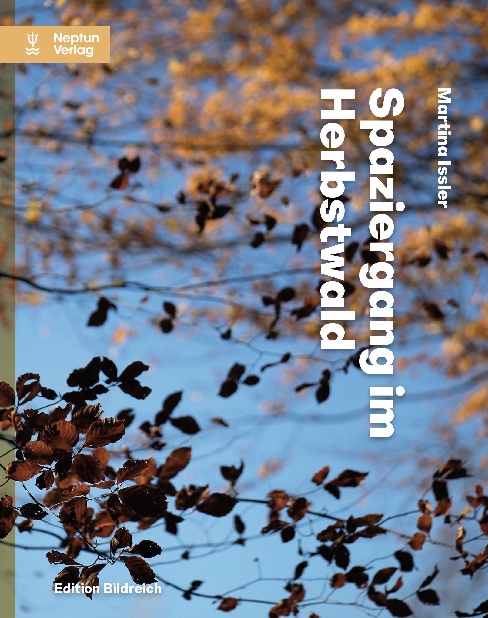 Issler, Spaziergang im Herbstwald (Schutzumschlag)