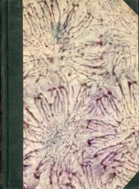 Faulmann, Illustrirte Geschichte der Buchdruckerkunst. (Umschlag)