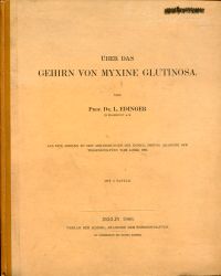 Edinger, Ueber das Gehirn von Myxine Glutinosa. (Umschlag)