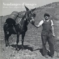 Papilloud, Vendanges d'images dans les vignes de Provins. (Umschlag)