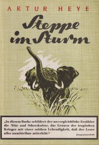 Heye, Steppe im Sturm. (Umschlag)
