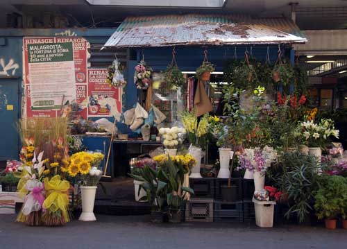 bildreich karten PK 822: mercato di testaccio.