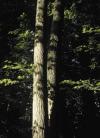 bildreich\bildreich_021.jpg